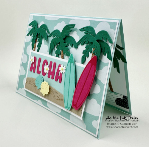 BeachDays_SunnyDaysDSP_side