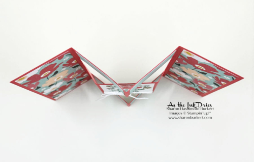 SoftlySophisticated_SunnyDays_top