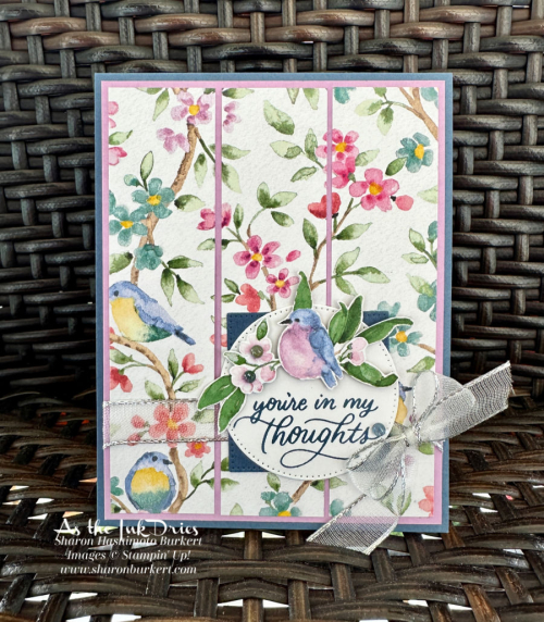 SoftlySophisticated_Flight&AiryDSP_SAB2024 SoftlySophisticated_Flight&AiryDSP_SAB2024