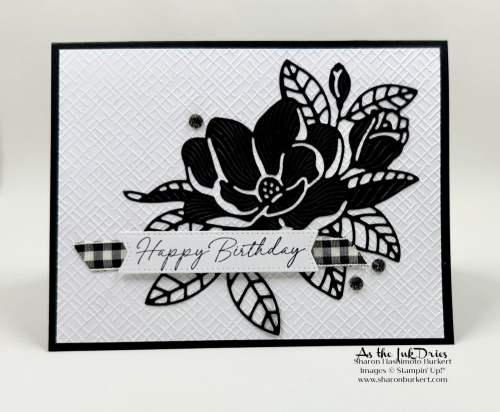 MagnoliaMood_Black&White MagnoliaMood_Black&White