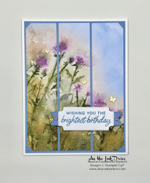 ThoughtfulJourney_birthday