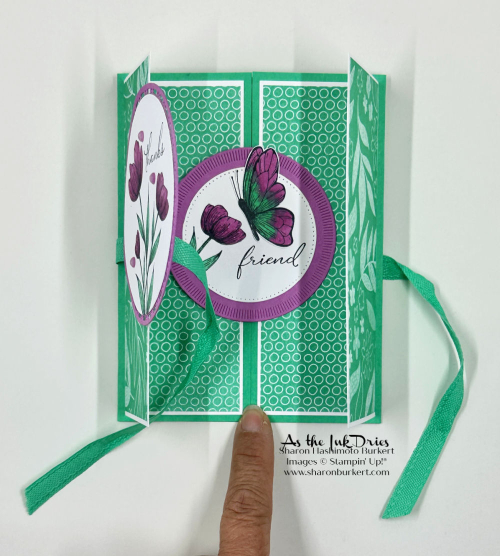 SpotlightonNature_Thanks_2