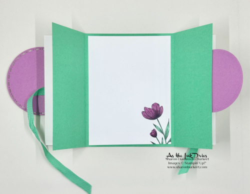 SpotlightonNature_Thanks_4