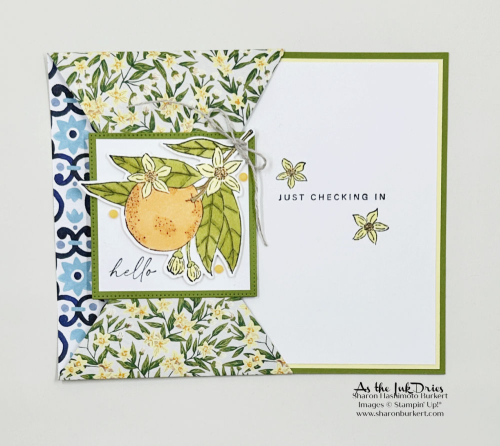 CitrusBlooms_Orangespocket_2