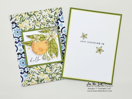 CitrusBlooms_Orangepocket_3