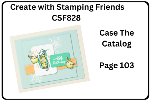 CSF828