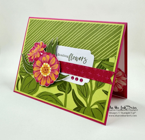 FloweringZinnias_sendingflowers_side