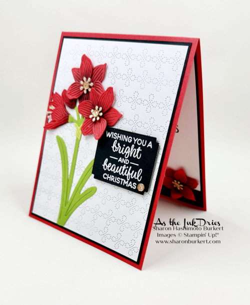 ArtfulAmaryllis_Brigh&Beautiful_side ArtfulAmaryllis_Brigh&Beautiful_side