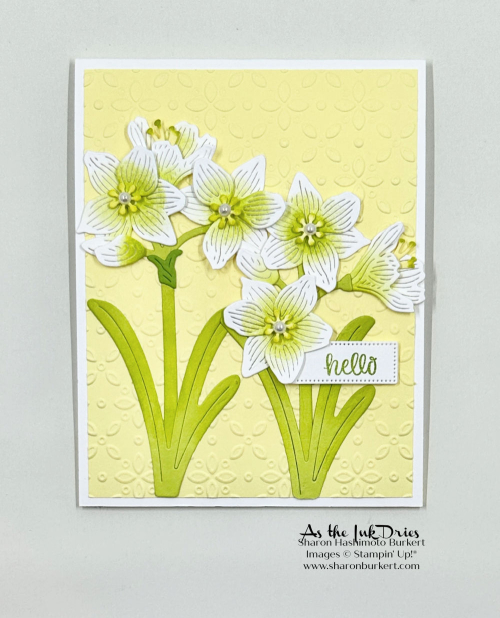 ArtfulAmaryllis_white ArtfulAmaryllis_white