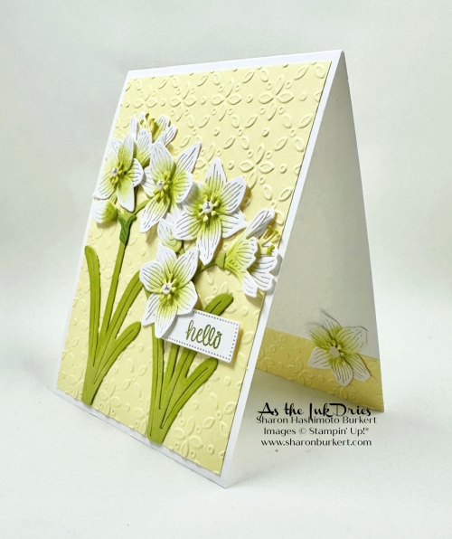 ArtfulAmaryllis_white_side ArtfulAmaryllis_white_side