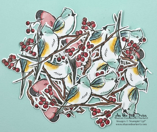 NestsofWinter_Birds NestsofWinter_Birds