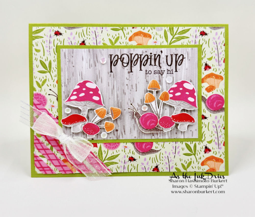 TerrificToadstools_ToadstoolGardens_CSF_SAB_Mini TerrificToadstools_ToadstoolGardens_CSF_SAB_Mini