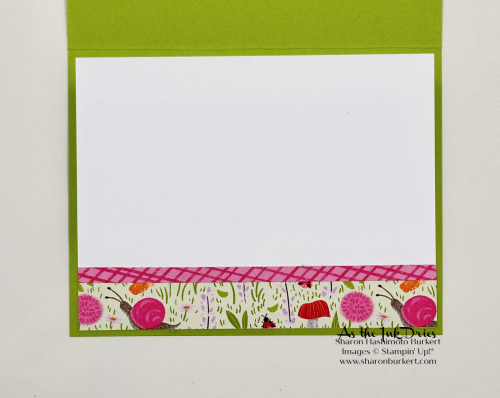 TerrificToadstools_ToadstoolGardens_CSF_SAB_Mini (1) TerrificToadstools_ToadstoolGardens_CSF_SAB_Mini (1)