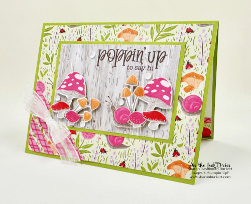 TerrificToadstools_ToadstoolGardens_CSF_SAB_mini_side TerrificToadstools_ToadstoolGardens_CSF_SAB_mini_side