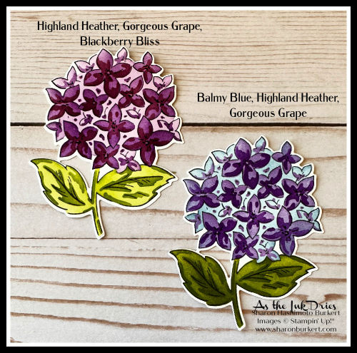 ThankfulGarden_Colors2 (1) ThankfulGarden_Colors2 (1)