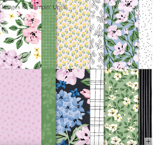 Lovely Garden DSP Lovely Garden DSP