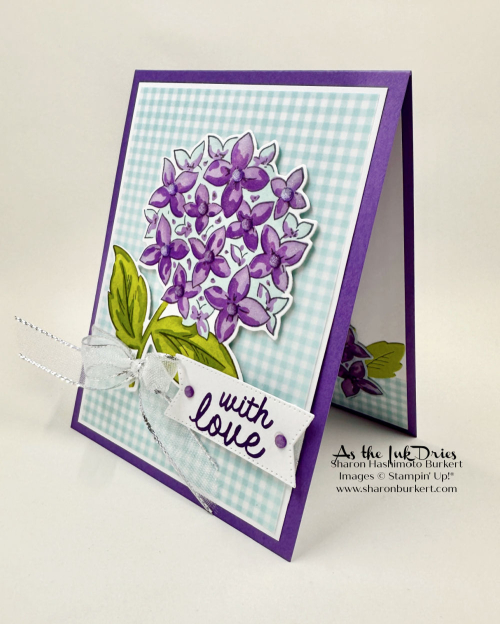 ThankfulGarden_gingham_side ThankfulGarden_gingham_side