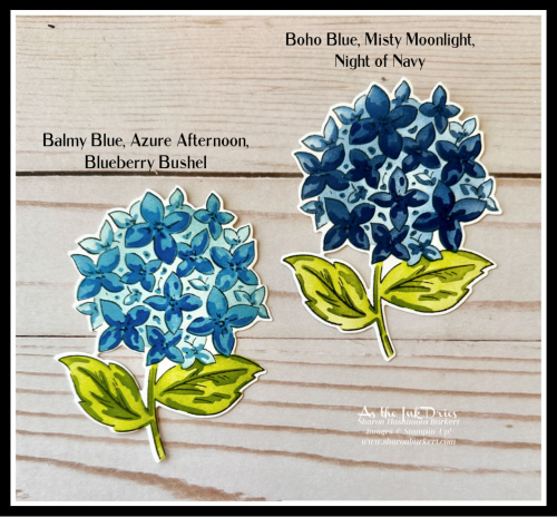 Thankful Garden Colors Thankful Garden Colors