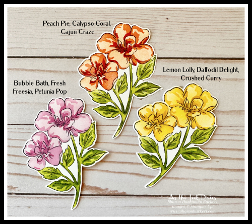 ThankfulGarden_Colors3 ThankfulGarden_Colors3