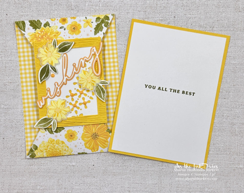 DelightfulWishes_pocket_open