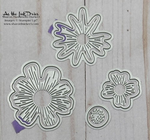 ImpressionsABloomDies ImpressionsABloomDies