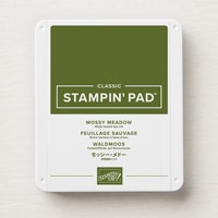 Mossy Meadow Classic Stampin' Pad [ 147111 ]