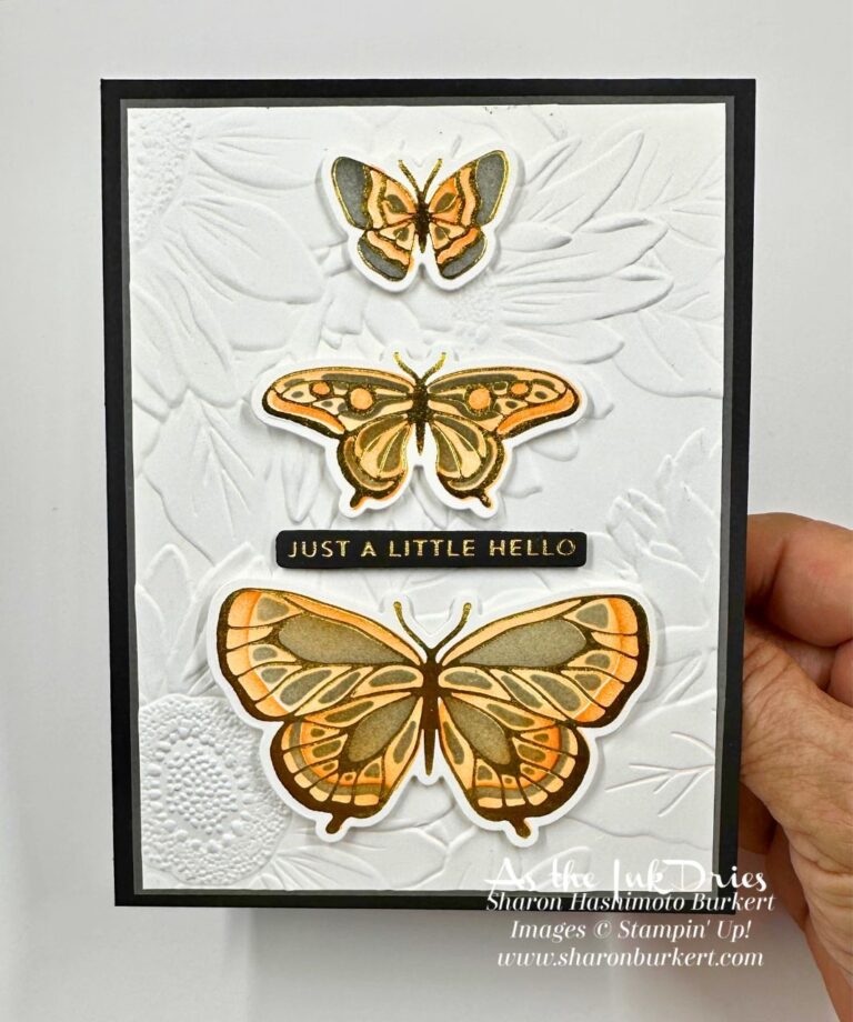 Butterfly Flight and a Little Hello